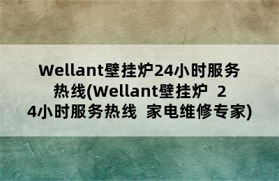 Wellant壁挂炉24小时服务热线(Wellant壁挂炉  24小时服务热线  家电维修专家)